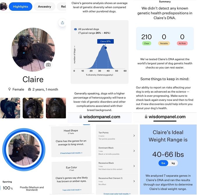 Claire's DNA Results