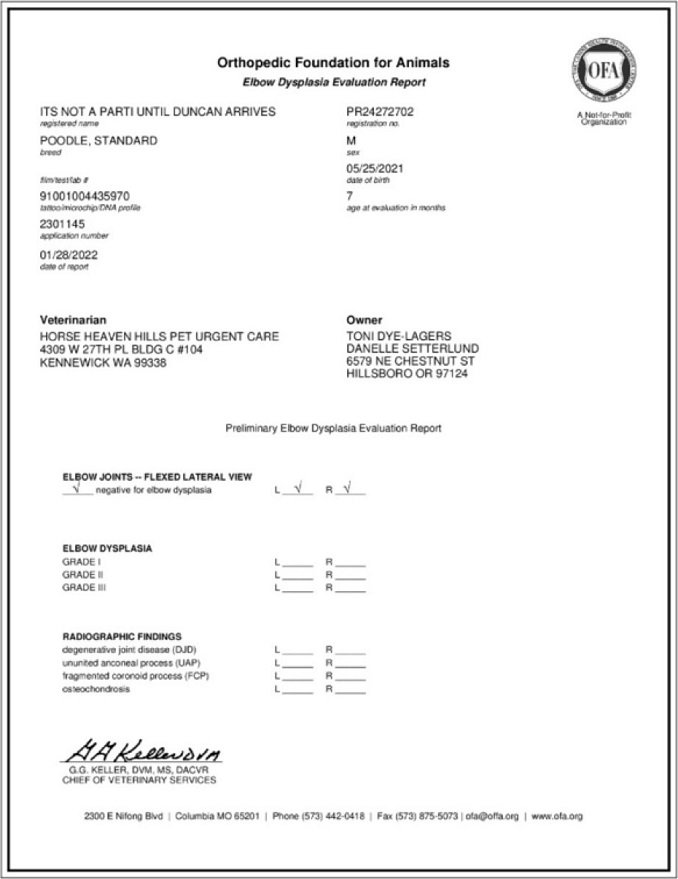 Jaxon's OFA Results 2